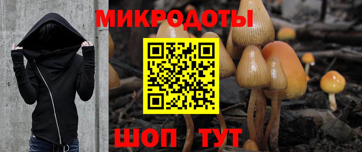 Галлюциногенные грибы Magic Shrooms  Галлюциногенные грибы Psilocybe  Вход с VPN  Назрань 